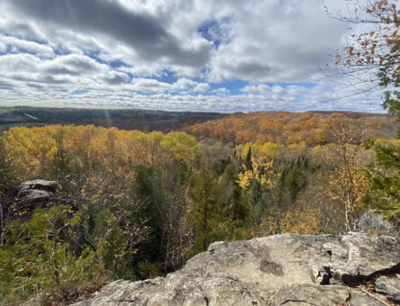 Discover Nottawasaga Bluffs & Caves